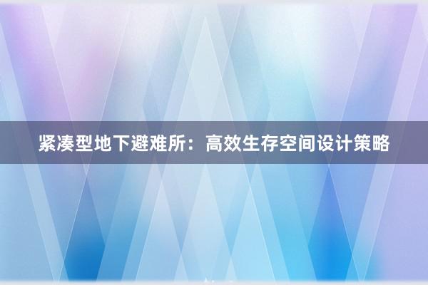 紧凑型地下避难所：高效生存空间设计策略